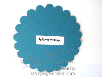 Island Indigo In Color